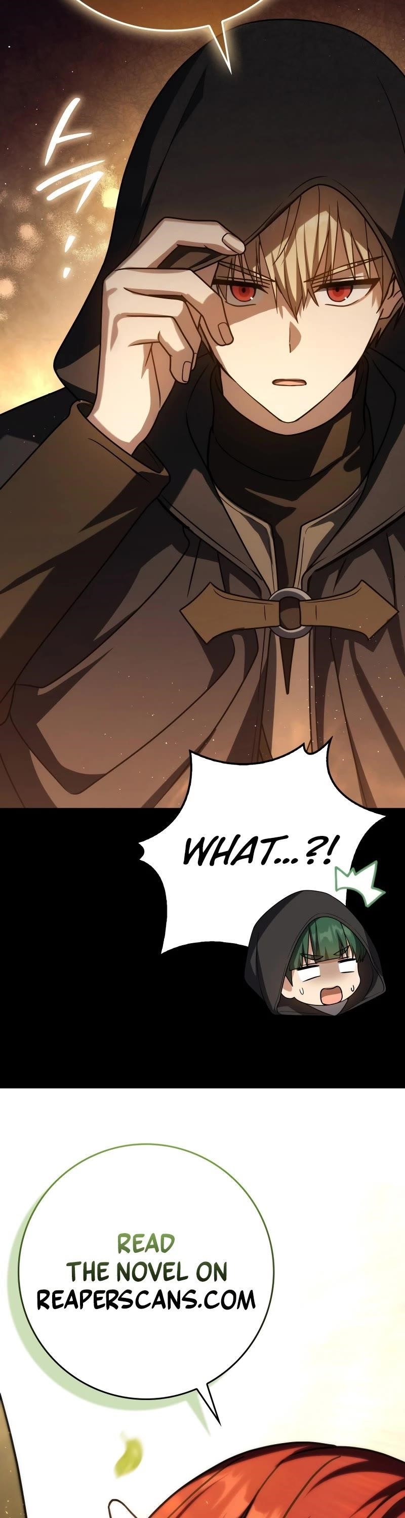 The Reincarnated Assassin is a Genius Swordsman - Chapter 58 Page 65