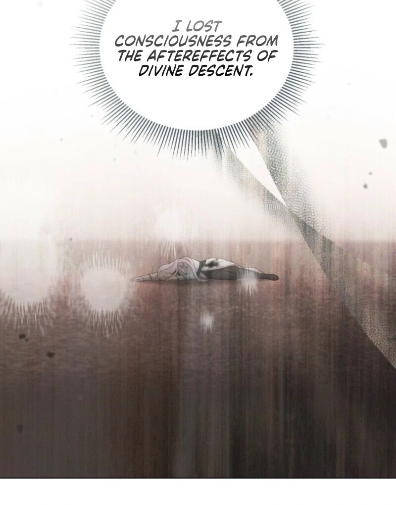 A Transmigrator's Privilege - Chapter 106 Page 12