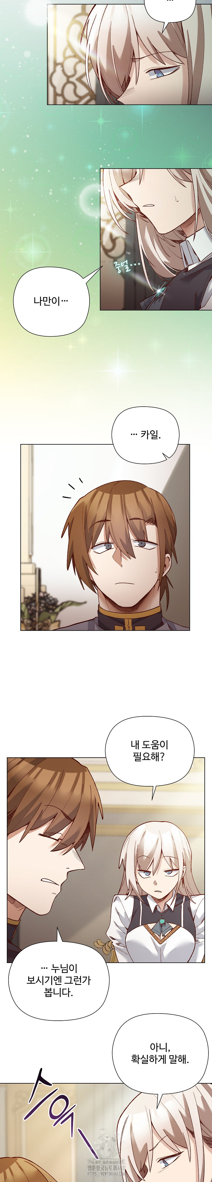 I Will Protect the Lady Raw - Chapter 29 Page 8