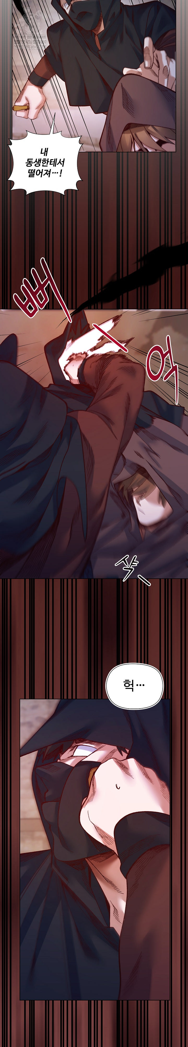 I Will Protect the Lady Raw - Chapter 36 Page 15