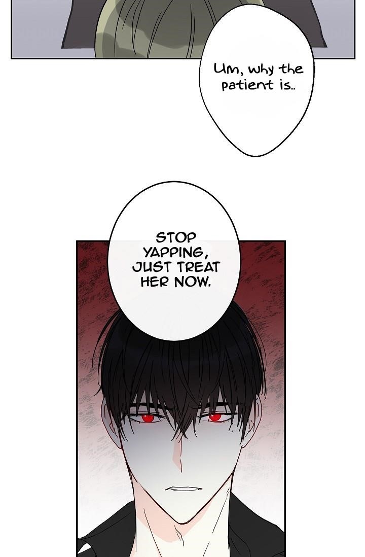 This is an Obvious Fraudulent Marriage - Chapter 23 Page 41