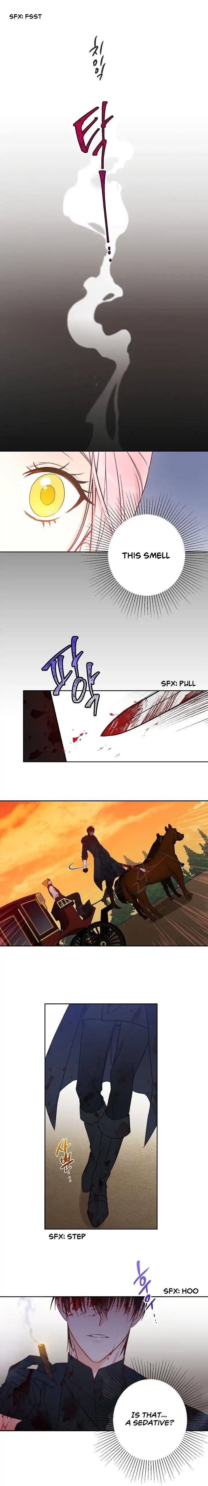 This is an Obvious Fraudulent Marriage - Chapter 6 Page 10