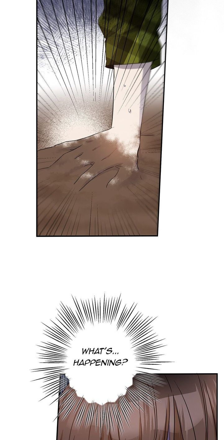 This is an Obvious Fraudulent Marriage - Chapter 72 Page 25