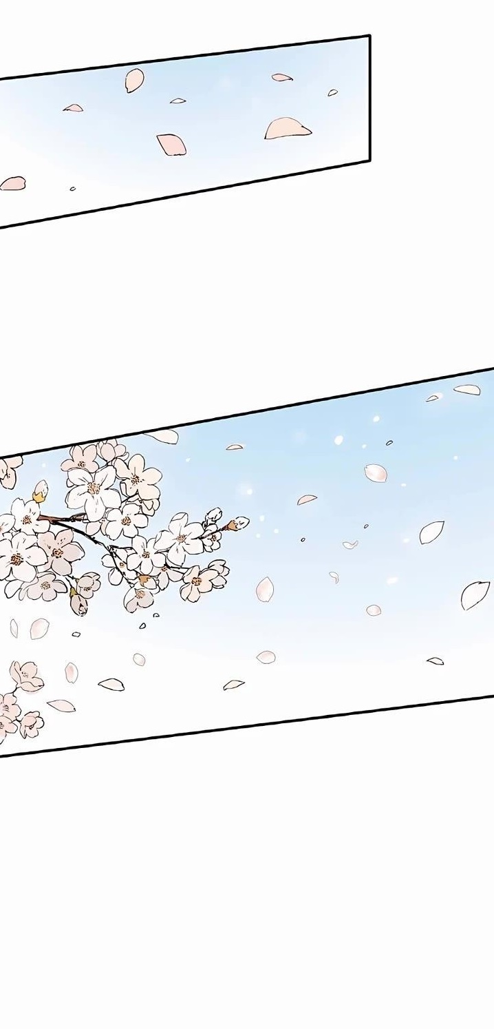 I Reincarnated as a Legendary Surgeon - Chapter 105 Page 1