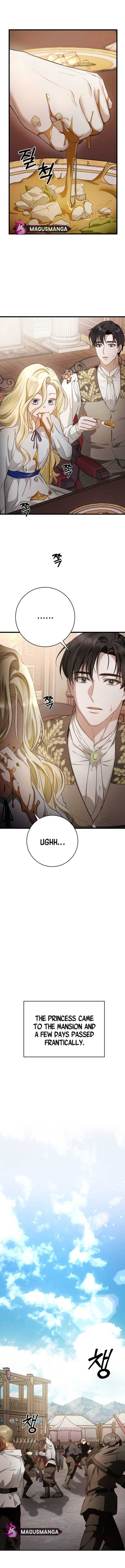 Beneath the Surviving Princess Joyful Facade - Chapter 4 Page 3