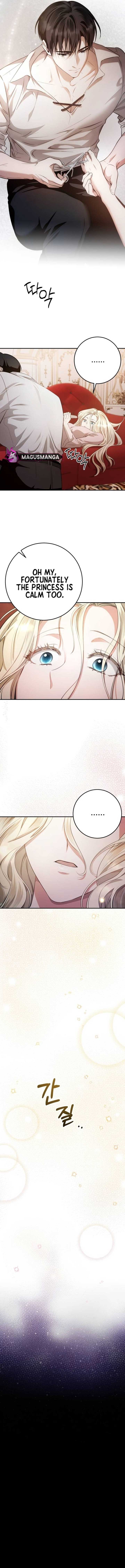 Beneath the Surviving Princess Joyful Facade - Chapter 6 Page 12