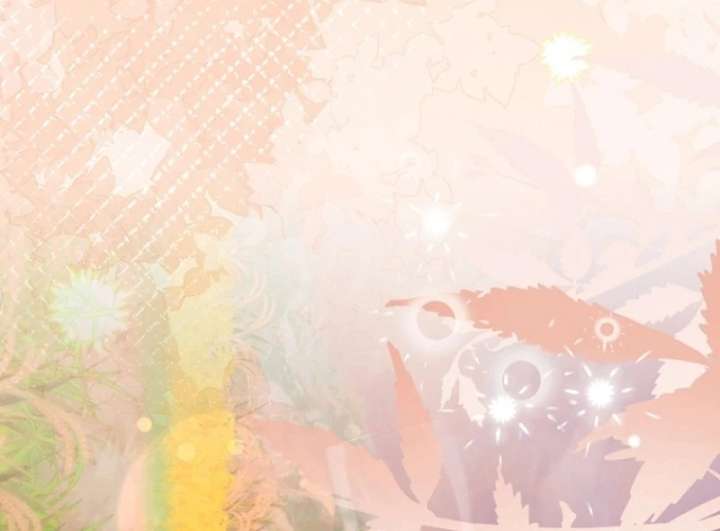 The Seventh Marriage Awaits - Chapter 16 Page 93