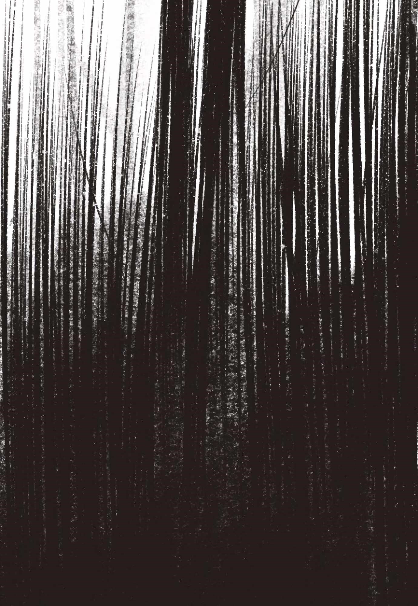 Why Don’t I Have Anyone By My Side? - Chapter 1 Page 54