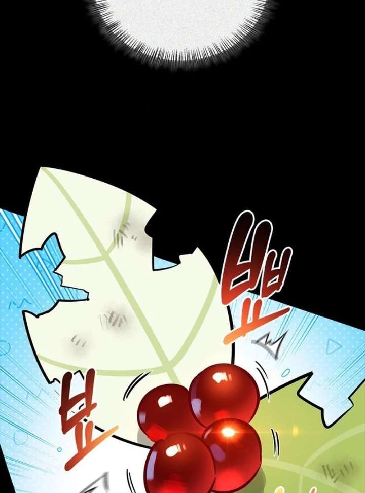 S-Class Hunter Heals with Monsters - Chapter 24 Page 71