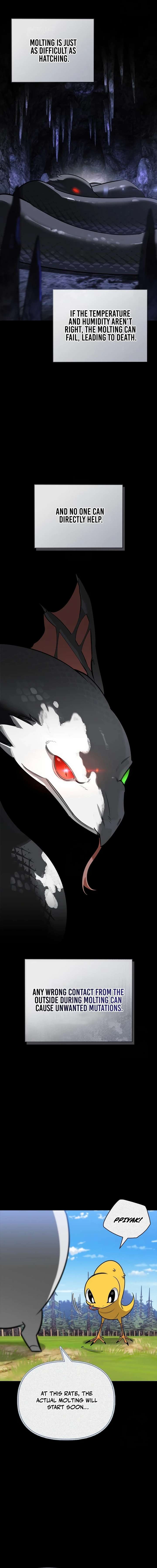 S-Class Hunter Heals with Monsters - Chapter 29 Page 10