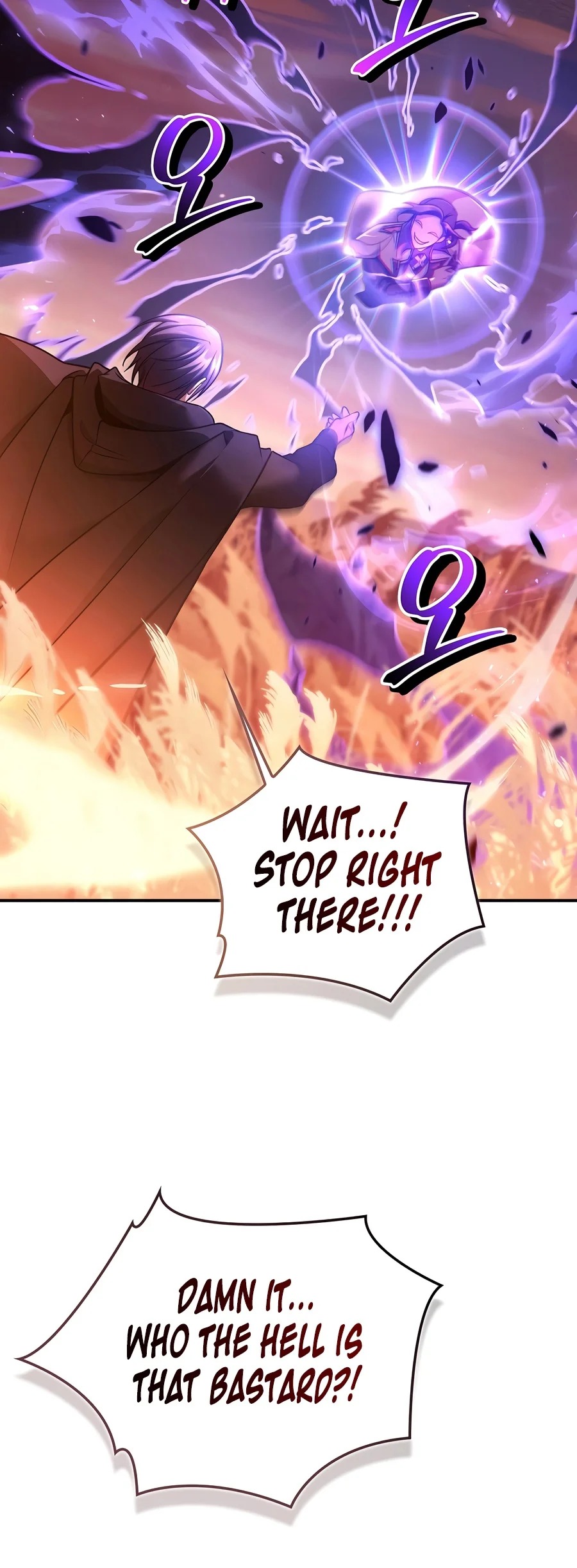 Regressor Instruction Manual - Chapter 207 Page 4