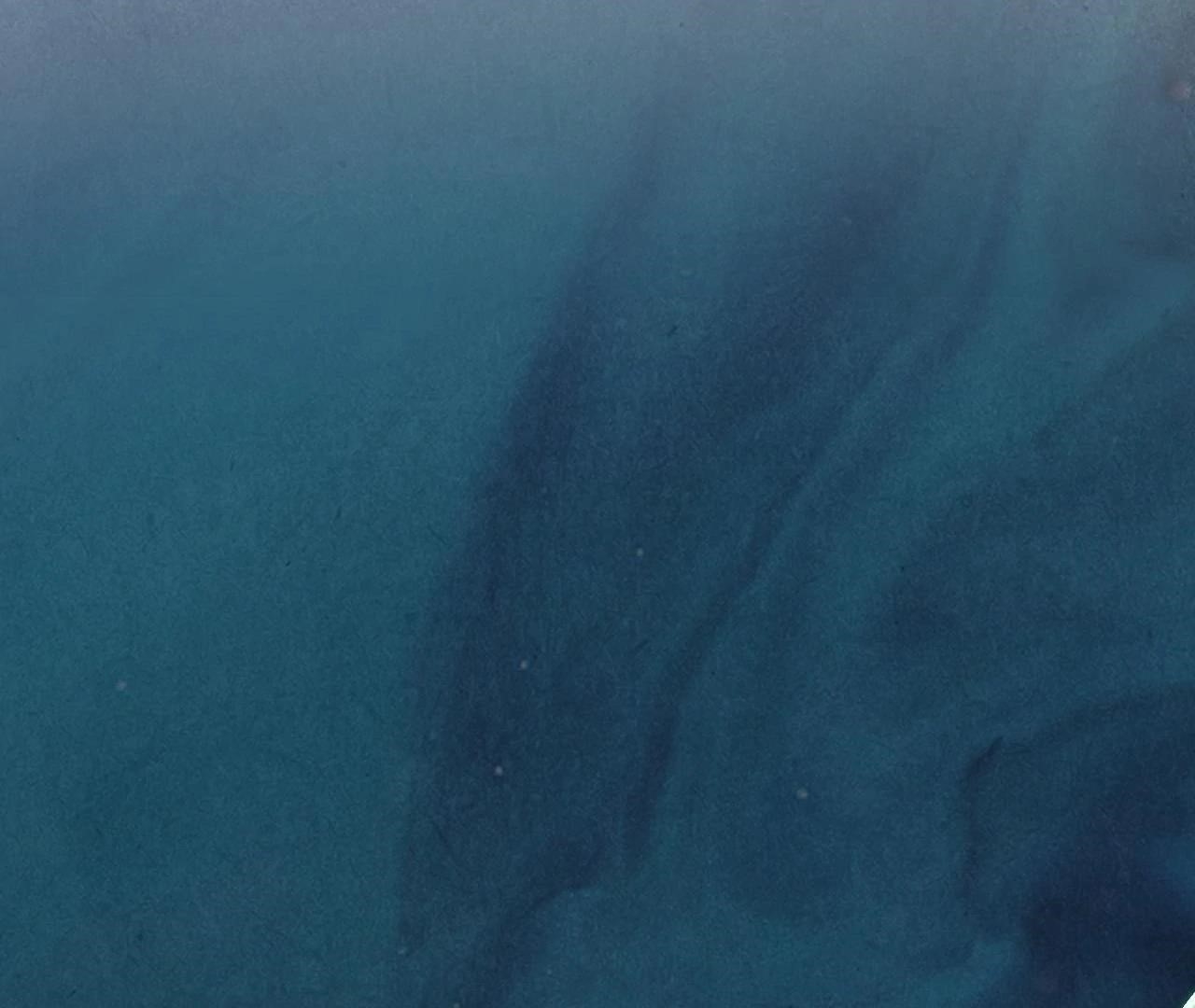 The Ultimate of All Ages - Chapter 410 Page 82