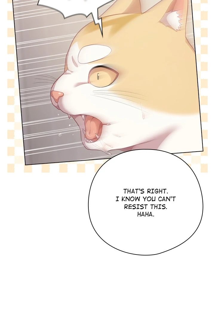 The General Is Here! - Chapter 33 Page 66