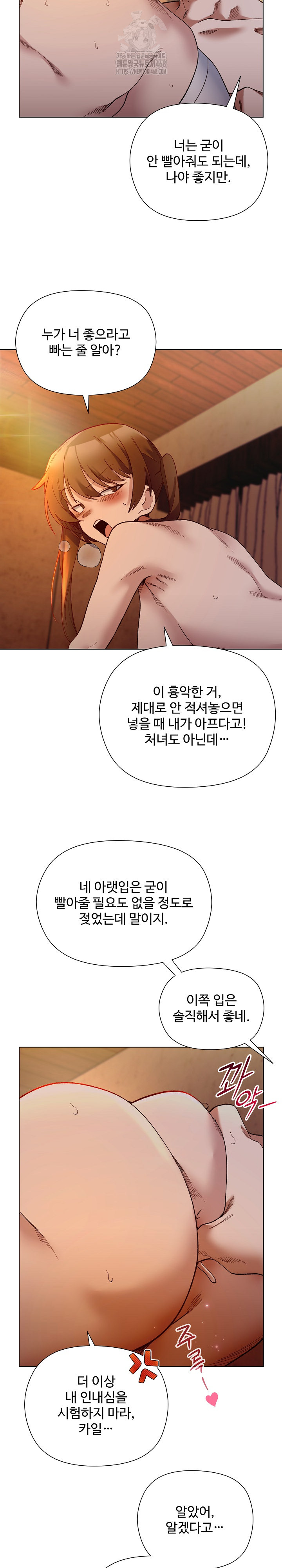 I Will Protect the Lady Raw - Chapter 20 Page 17