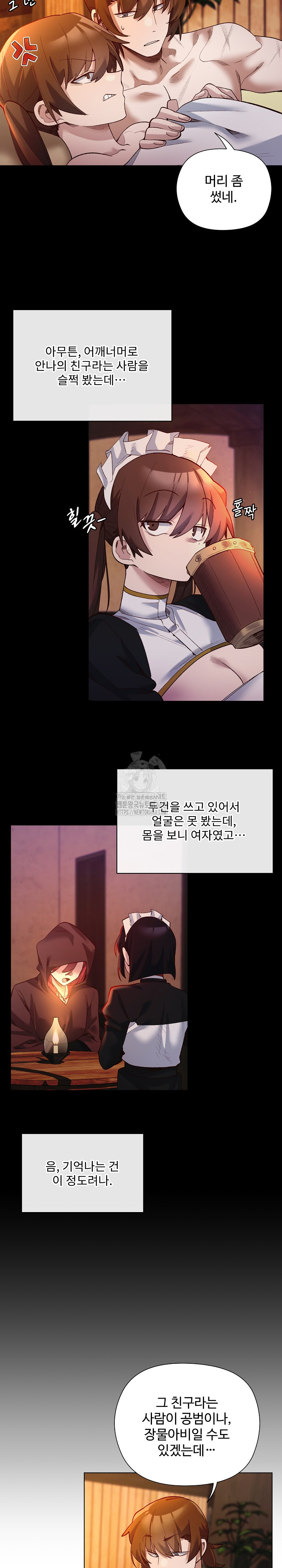 I Will Protect the Lady Raw - Chapter 22 Page 11